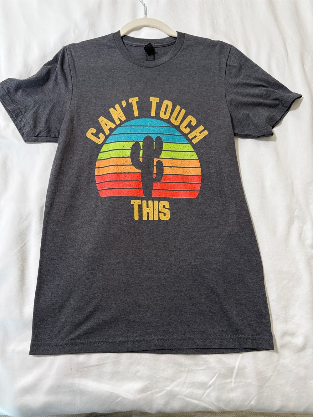 Gildan Charcoal Tee with Rainbow Sunset Cactus Graphic